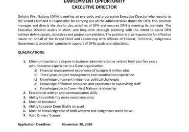Executive Director Advertisement
