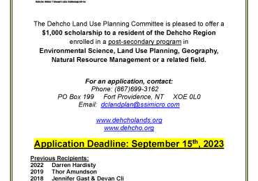 Leo Norwegian Scholarship 2023