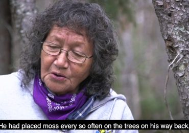 Plant Wisdom – Dehcho First Nations
