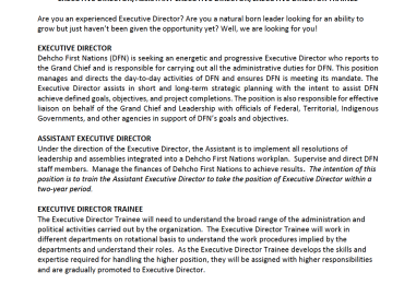 Executive Director/Assistant Executive Director/Executive Director Trainee