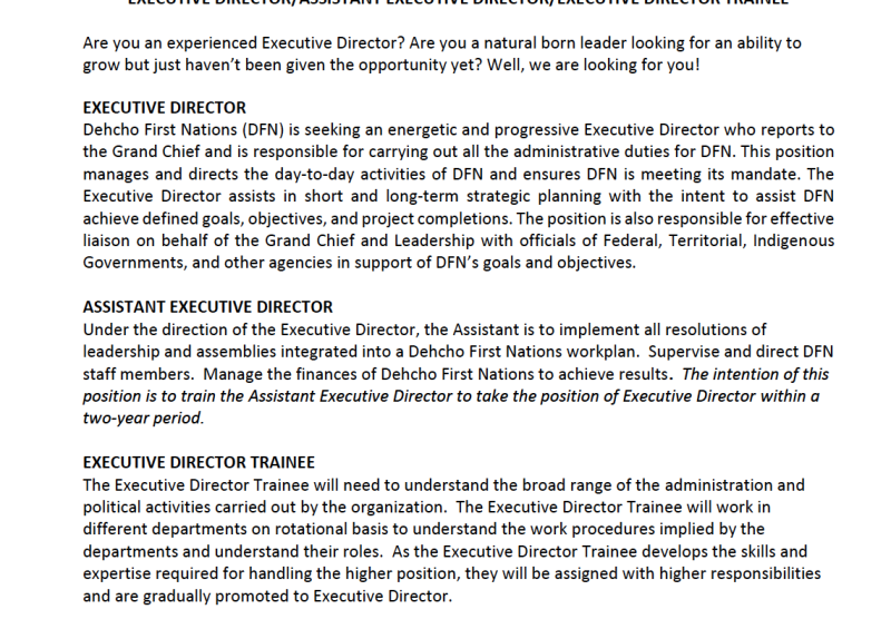 Executive Director/Assistant Executive Director/Executive Director Trainee