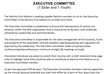 Executive Committee (1 Elder and 1 Youth)