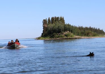 Dehcho First Nations