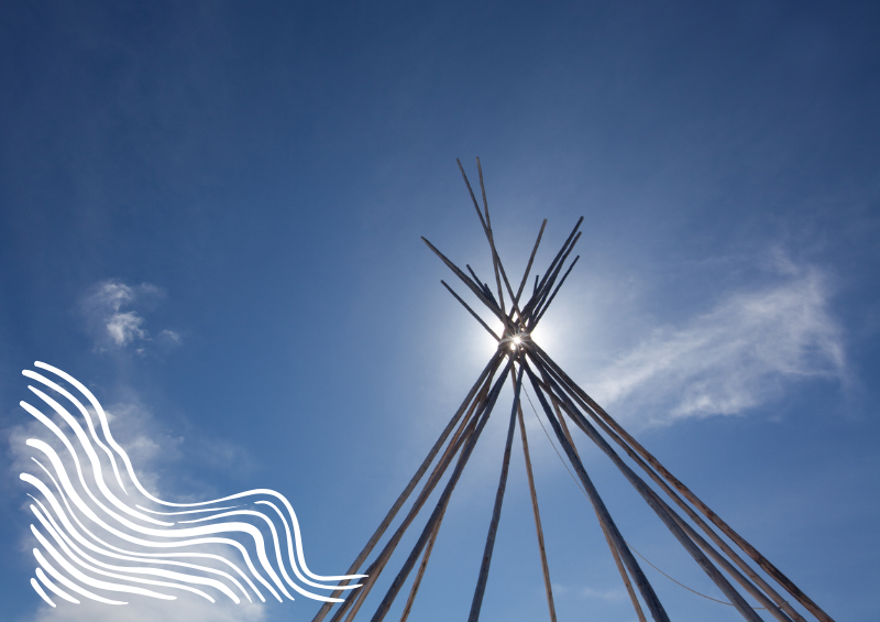 Health & Wellness Programs