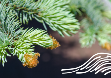 Our History Feature Image