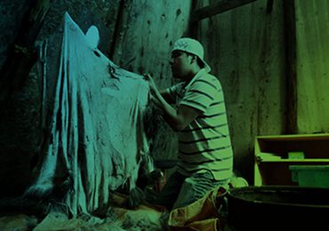 Acting Grand Chief Announcement