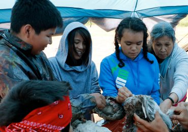 Youth Camps Feature Image