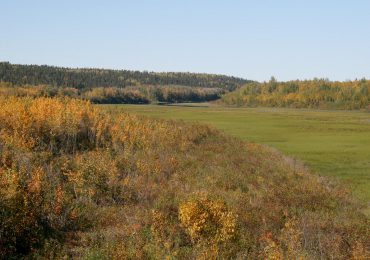 Annual Reports Feature Image