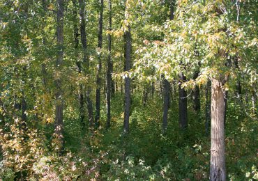 Resolutions Feature Image